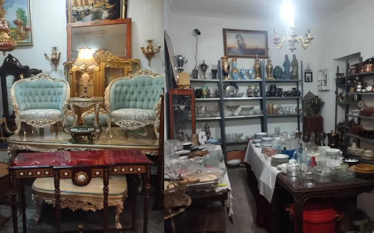 سمساری در پارک وی