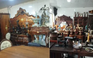 سمساری در پارک وی